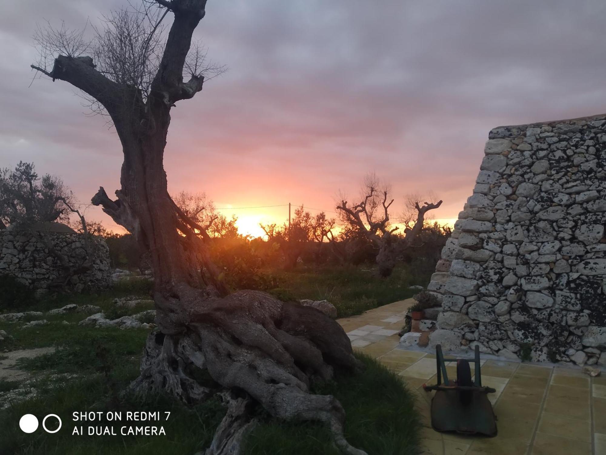 Apartament La Nicchia-Trullo Corigliano dʼOtranto Zewnętrze zdjęcie